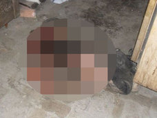 【超・閲覧注意】空腹の飼い犬のエサになり、全身を貪り尽くされた男! 肉と骨の“食べかす”になった死体がヤバすぎる=ブラジル