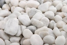 芸術的な「巨大結石」摘出に医師もギョーテン! 原因は深刻な環境汚染か