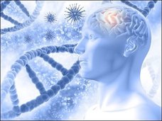 人間の知能を決める遺伝子が52個発見される! 遺伝的に「賢い」人間に見られる3つの特徴とは!?(最新研究)