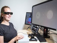 視界から突然モノが消える錯視が超ヤバい!! 脳が勝手に“フェイク情報”を作り出す決定的瞬間を体験せよ!