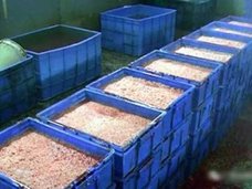 「価格は正規品の20分の1」中国で流通する“激安加工食品”の正体は……