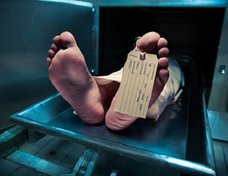 死体を“水酸化ナトリウム鍋”で煮込んだ事件の衝撃結末とは!?「人間を完全に溶かす毒」の存在を徹底検証!【ググっても出ない毒薬の手帳】
