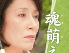 高畑淳子が“息子を溺愛する母親役”でドラマ復帰の裏側!「フジテレビは多大な代償を…」