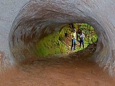 アマゾン奥地の洞窟トンネル、謎の超巨大古代生物が掘ったことが判明! 体重4tで2足歩行、鋭い鉤爪… 今も生存か!?