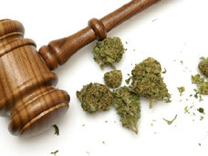 トランプ政権で大麻が合法に!? 強硬な反対派が司法長官で州法と連邦法に矛盾!?