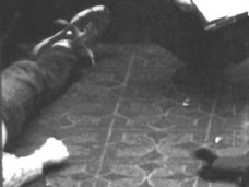 【閲覧注意】カート・コバーンの美しすぎる遺体写真! 死後20年が経過しても謎に包まれた自殺直後の光景