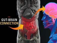 【衝撃】人間の感情は腸内微生物(腹の虫)に支配されていたことが判明! 「腸=第2の脳」は本当だった!(最新研究)