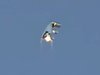 【動画】カナダ上空を飛行する「アルミホイル型UFO」が激撮される! インド古代文書に記された神々の乗り物 “ヴィマーナ”か?