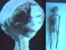 ナスカで発掘された「3本指の宇宙人ミイラ」が人類よりも爬虫類に近いことが濃厚! 古代人と共生していたレプティリアンの可能性