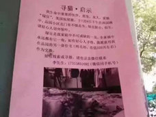 ペット捜索に懸賞金5,000万円超! 中国で新たな“誘拐ビジネス”が爆誕!?