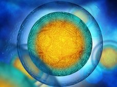 【NMN】飲む“若返り分子”登場へ! ハーバード大学「老化を止めるのではなく、逆転させる、超エキサイティング」