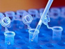 最先端ゲノム編集「CRISPR」が2017年に成し遂げた11の偉業がスゴスギル! 半合成生命体の誕生、HIVウイルスの除去、DNAメモリー化…!