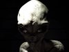 エリア51で撮影された「宇宙人インタビュー映像」が流出! 7つの真実を暴露「核戦争で人類は滅亡する」「我々は地球から来た」...