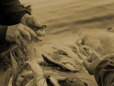 奇習! ひとり旅の女性を拉致して輪姦 ― 黙認され続けた荒くれ者たちの蛮行