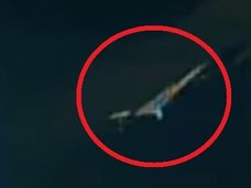 NASAの中継映像に“巨大宇宙鳥”が出現「これは本物」! しかし、即座に放送中断…疑念深まる!