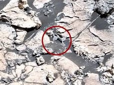 火星で次々に発見された「古代エイリアンの骨」、遂にNASAが公式見解発表! 明らかに“骨”にしか見えない物体の説明に注目集まる!