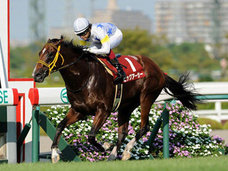 武豊48歳に強烈な限界説が浮上! マスコミも知らない「スプリンターズステークス(G1)情報」を握る関西集団が示す極秘データとは?
