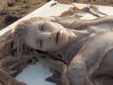 コロンブスが出会った“マッチョ人魚”からノルウェーの“黒髪人魚”集団まで! 世界中で相次ぐ人魚のガチ目撃談5選