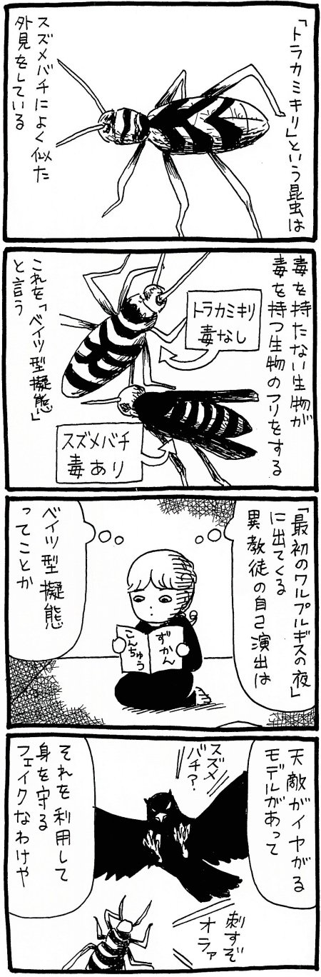 180614_kimaru01.jpg