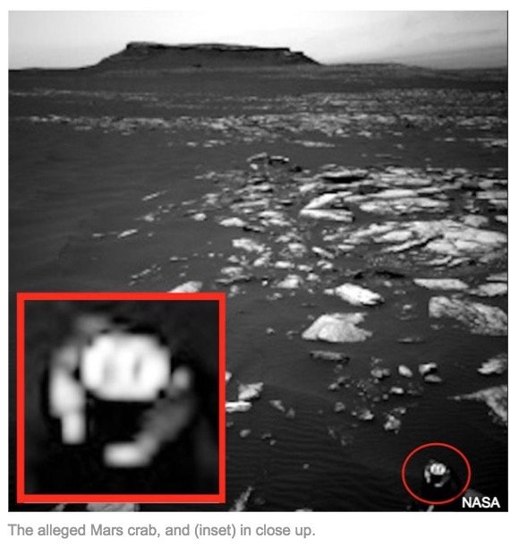 Crab_on_Mars03.jpg