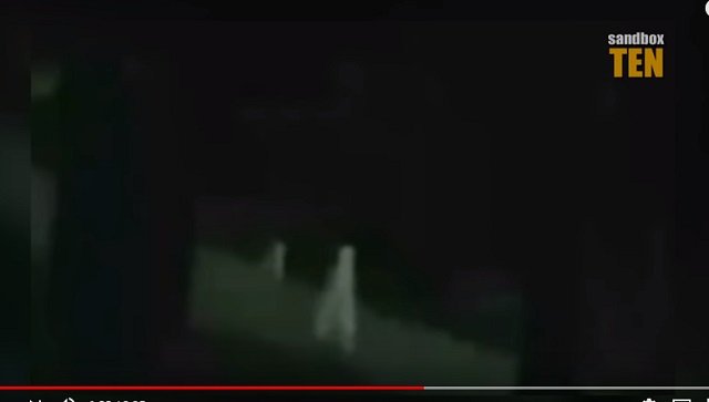 首から脚が生えた「ペラペラに薄い宇宙人」4体が激撮される! 身長1.2mで真っ白、伝説のUMA「ナイトクローラー」か?の画像2