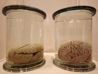 【哲学】現実は「水槽の中の脳」が見ている夢だった！ デカルトとカントも唱えた「シミュレーション仮説」の真実性とは？