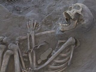 口をあんぐり開けた骸骨「カークジャ」の謎！ アボリジニのブーメランが誇るズバ抜けた殺傷力と多彩な用途
