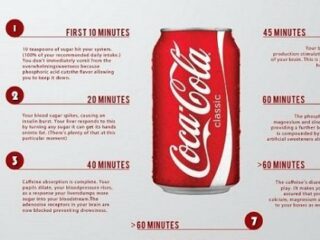 「シュガークラッシュ」 ― コーラを飲んで60分以内に体内で起きる、驚愕の変化とは？