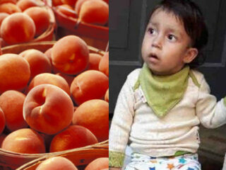 桃しか食べられない男の子、親は桃の確保に奔走 ー 新生児に急増する奇病「FPIES」の苦悩