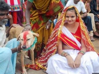 長老の教えで犬と結婚！ 逆らえばレイプ死する長老支配社会、インド貧困部！