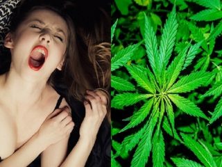 大麻で女性のオーガズムが凄いことになるとセックス調査で判明！ 300人以上を対象とした驚きの結果とは!?
