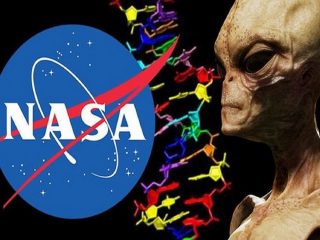 【ガチ】NASAが地球外生命体「ハチモジDNA」の合成に成功！ 宇宙人の超絶ビジュアルや生息地がもうすぐ明らかに！