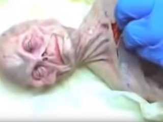 ロシア版ロズウェル「宇宙人解剖映像」が流出！ 生々しい肋骨や臓器が露わに… 68年のUFO墜落と関係か!?