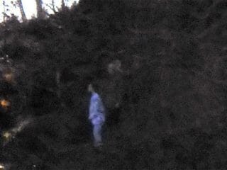 森の斜面で立ちすくむ「パジャマ姿の幽霊」が2体激撮される!! 鮮明すぎて鳥肌、専門家も本物認定！