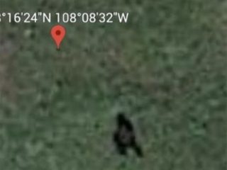 Google Earthにビッグフットの姿!? 体長2m超、人家のない山奥、移動の痕跡あり