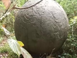ロシアの森で発見された巨大球体の謎！ 政府が真相不明のまま破壊、専門家はUFO説を提唱