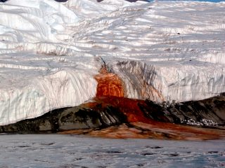 南極の「血の滝」とは？ 氷河の下に古代の微生物、火星探査の問題点が浮き彫りに