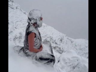 フェイク動画！？猛烈な吹雪の中で瞑想する凍りついた修行僧の映像は本物か