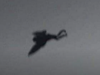 凶事の前触れ！？メキシコにモスマン出現か！巨大な翼の生えた生物の写真がSNSでバズるも真相は…