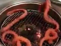 【動画】焼肉網で暴れまくるゲテモノ!!　韓国「ヌタウナギの焼肉」がグロい！