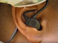 “超・地獄耳”が手に入るスマート補聴器「TCAPS」を米軍が実用化、兵士2万人に配備へ！