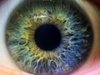 一目見るだけで「自閉症」か診断できる錯視動画がスゴイ! 脳のクセが瞳孔に発現、潜在的な自閉症の診断にも効果的!