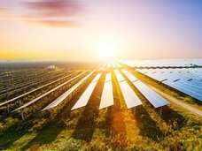 【朗報】水から無限の再生エネルギーを生み出す「半人工光合成」技術が爆誕！ ●●を使ってブレークスルー＝英大学