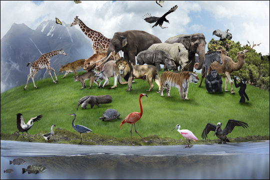 人類が絶滅した後、地球の支配者になる生物は何? 3つの意外な結果とは?の画像5