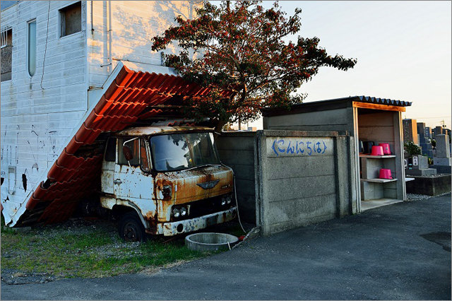 0229kaeru2.jpg