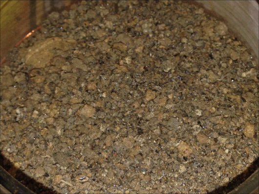 蚊の目玉スープは実在するのか? オカルト研究家が「世界の怪食伝説10」を検証!【前編】の画像3