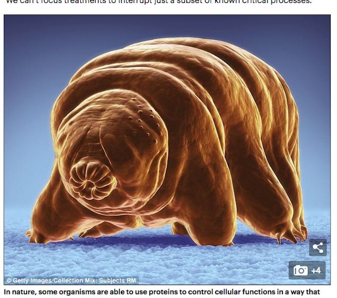 【朗報】人間の「生物学的時間」を遅くする研究が始まる! 負傷者をクマムシ化する究極延命法(DARPA)の画像3
