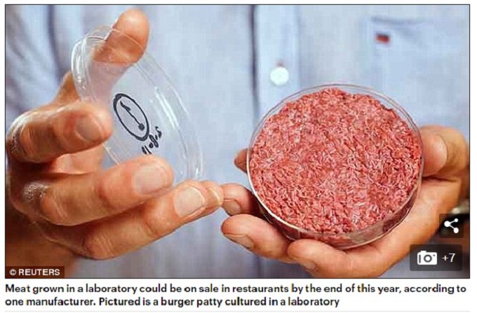 【禁忌】人間の細胞で作った培養肉はカニバリズムのタブーを打ち破る? リチャード・ドーキンスの問いに世界が激論!の画像2