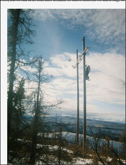 0401goat2.jpg
