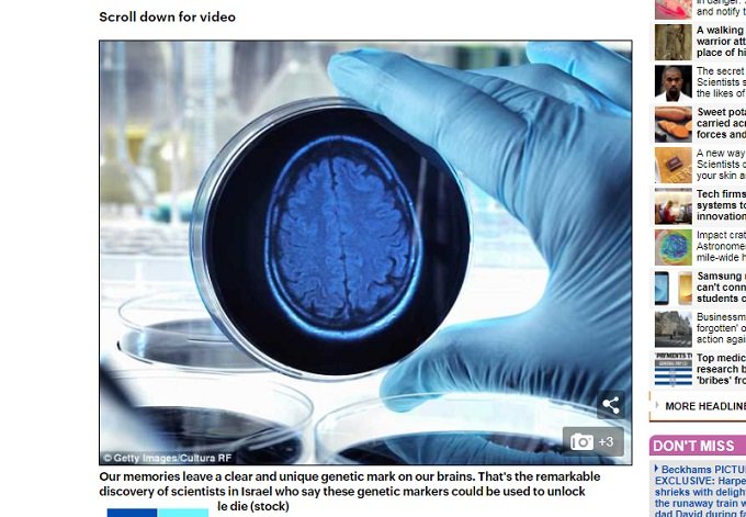 殺された人間の最期の記憶を蘇らせる技術が登場へ! マウス実験で成功、カギは遺伝子活動(最新研究)の画像3